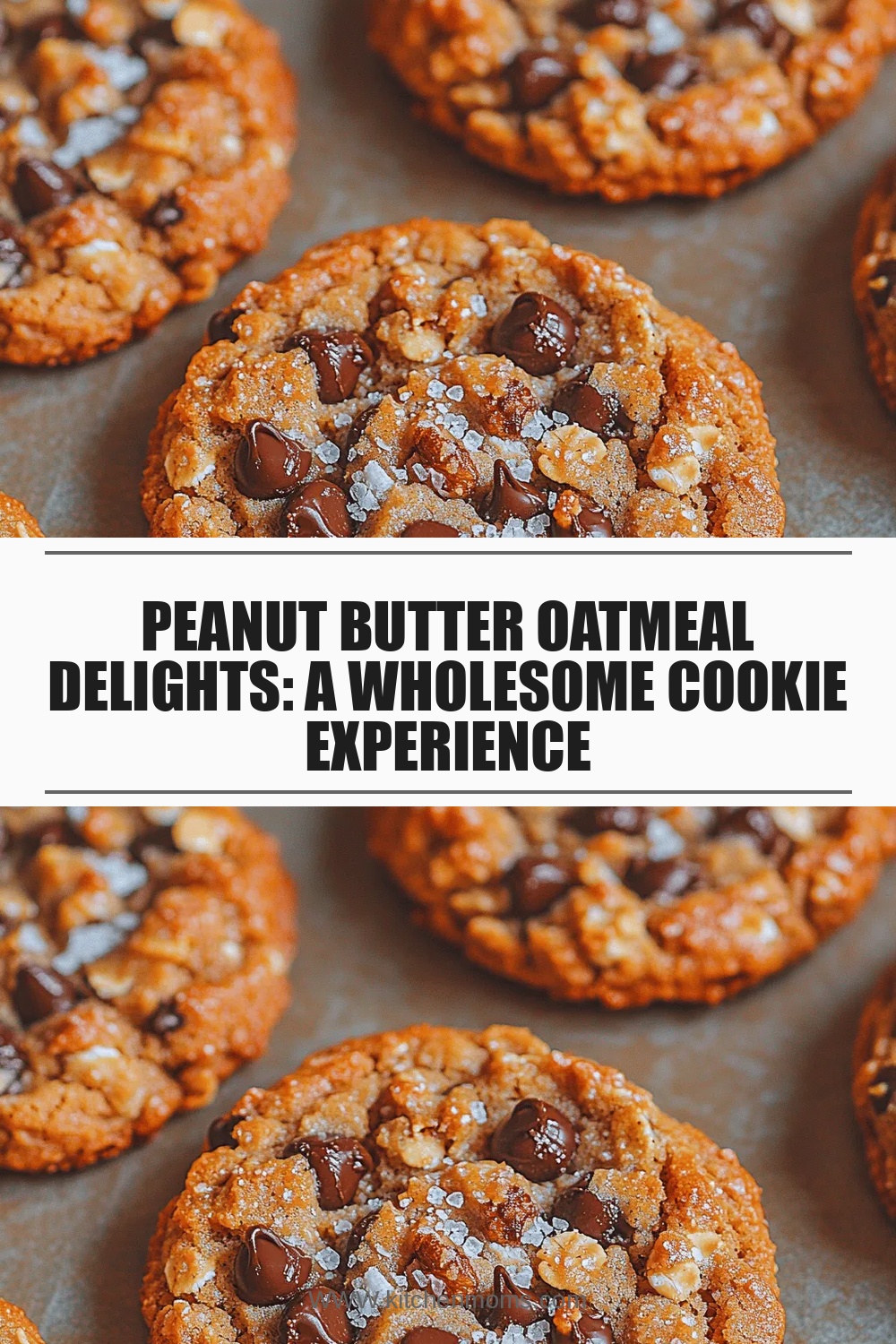 Peanut Butter Oatmeal Delights: A Wholesome Cookie Experience