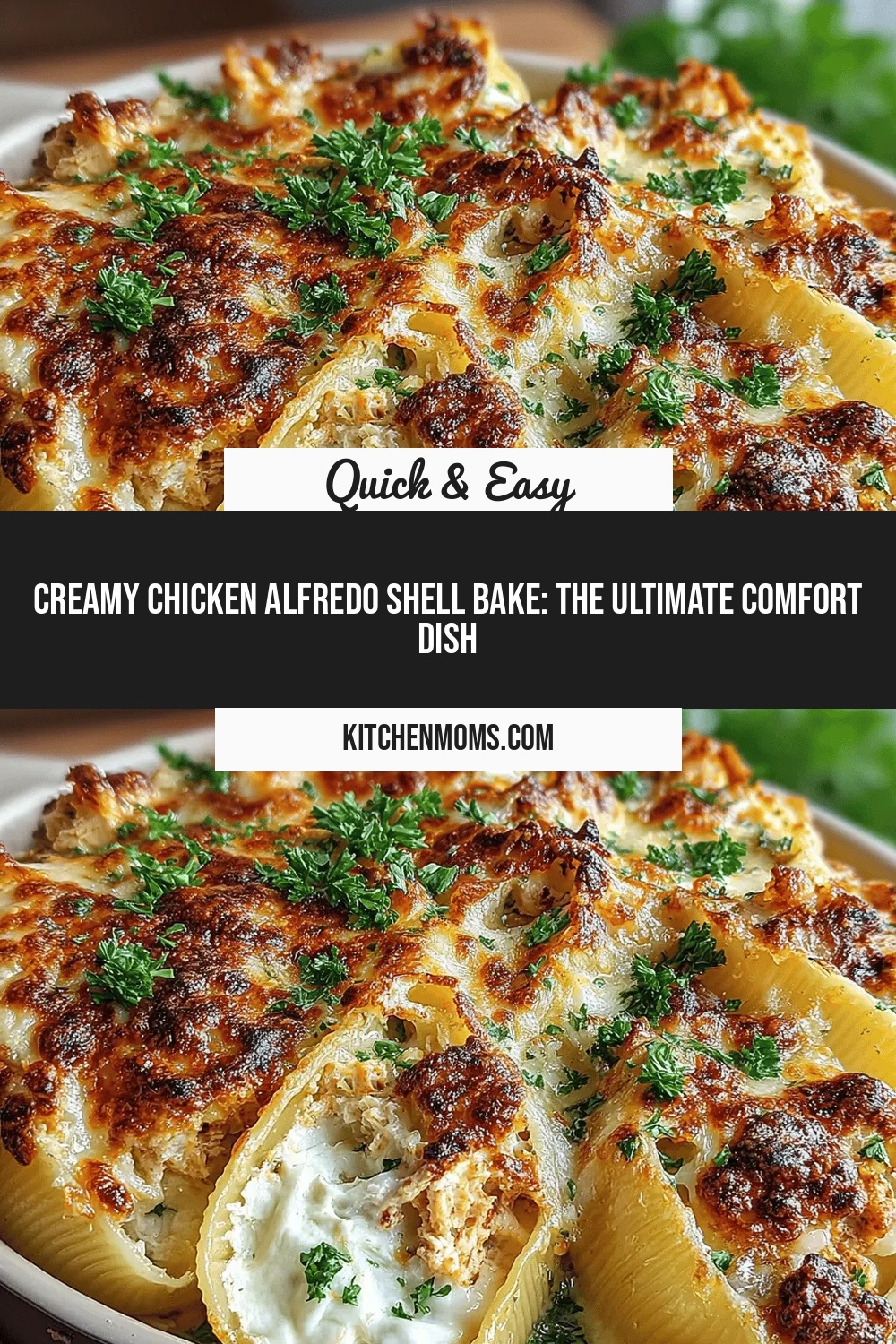 Creamy Chicken Alfredo Shell Bake: The Ultimate Comfort Dish
